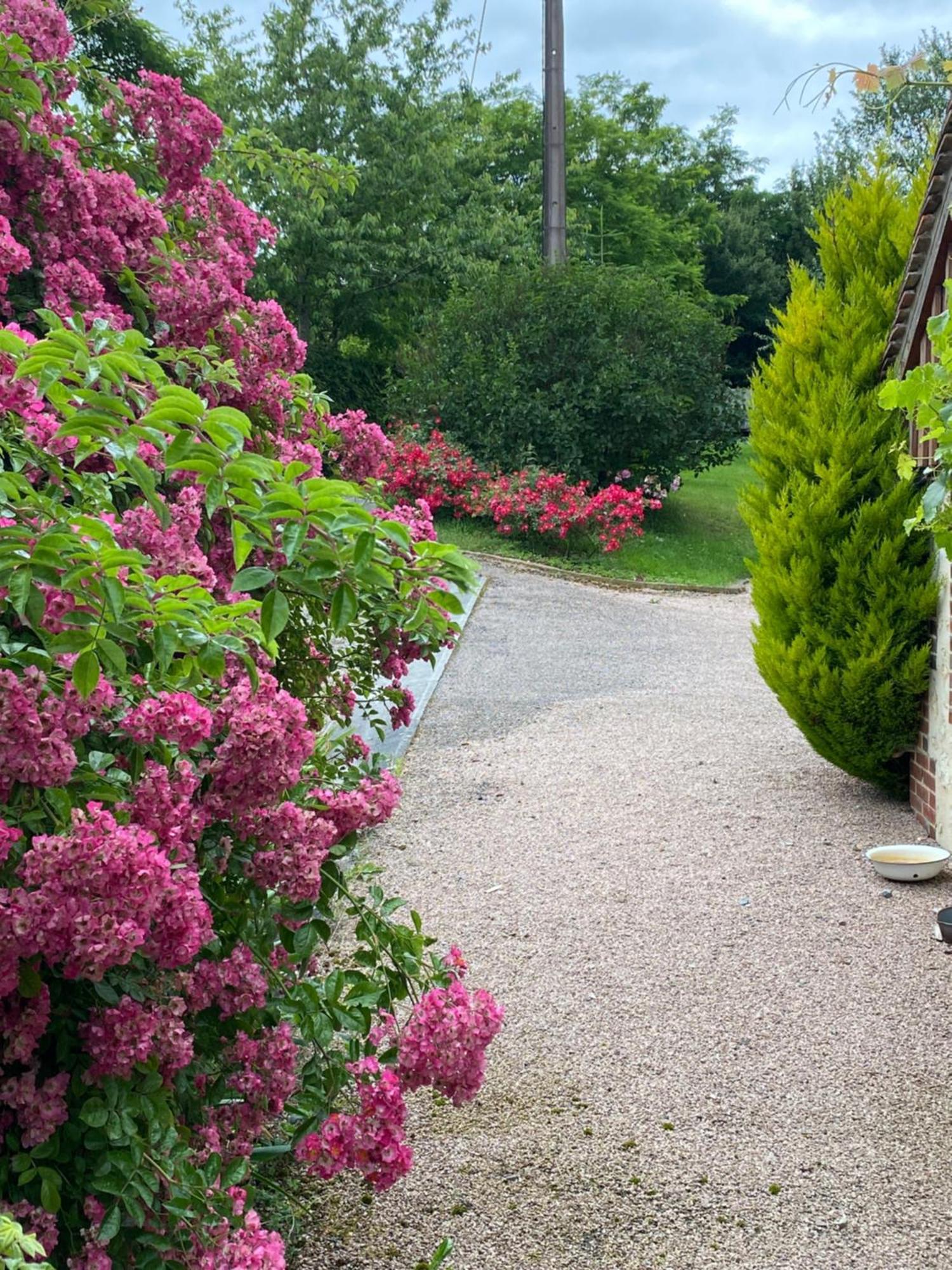 Chambre d'Hôtes du Domaine de la Haute Poignandiere Saint-Germain-de-la-Coudre Exterior foto